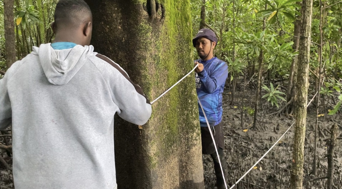 Mangrove NBS Conservation