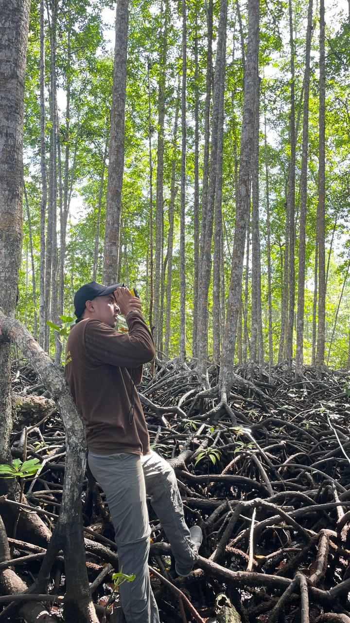 Peatland Rewetting